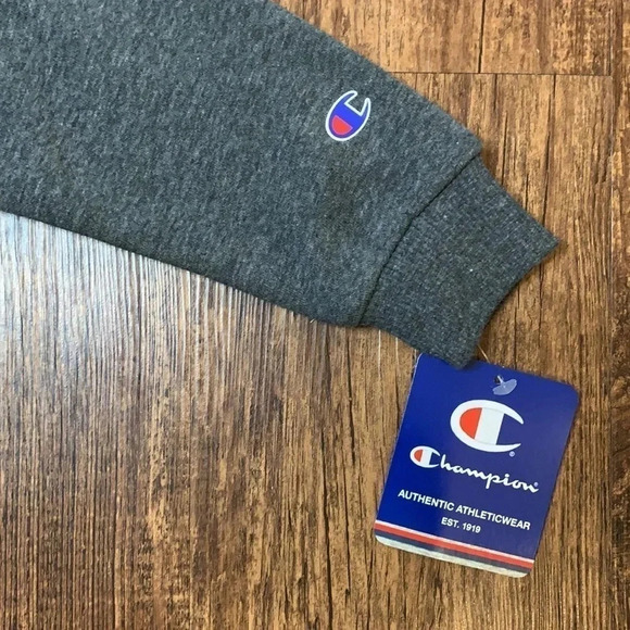 Champion Sweatshirt & Pant Set Toddler Gray Size 3T New - Picture 5 of 11